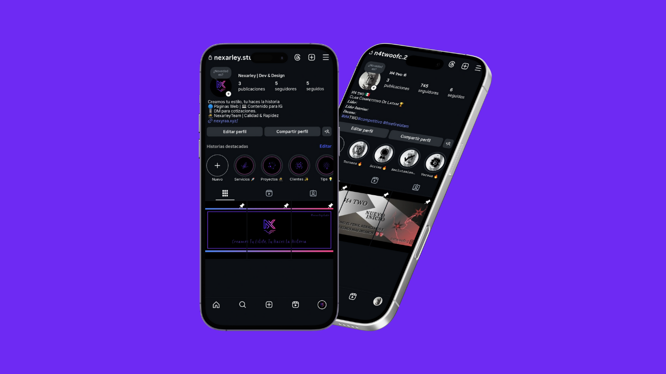 Imagen del Proyecto 1